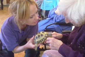 We Bring Giant Snails, Lizards, And Owls To Retirement Homes