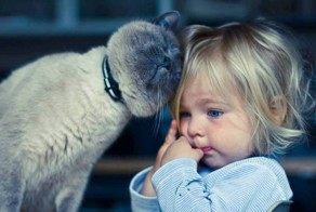 Adorable photos proving that your kids need a cat