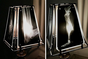 Pet Oncologist Creates Lamps With Animal X-Rays