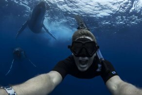 Swimming With Gentle Giants