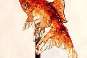Realistic Animal Lollipops By Young Japanese Master