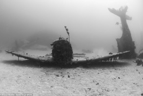 Scuba Diver Captures the Ghostly Underwater Graveyard of Lost Planes