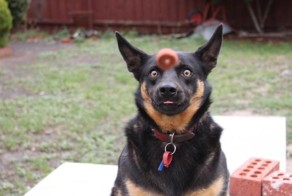 23 Photos So Perfectly Timed They’ll Make You Unreasonably Happy