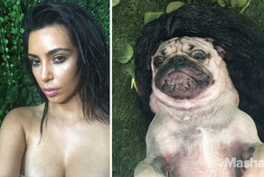Pug Recreates Sexiest Kim Kardashian Selfies