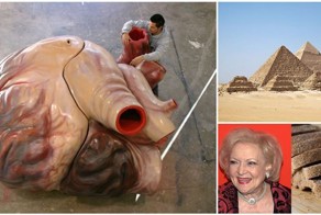 15 Truths That Are Actually Stranger Than Fiction
