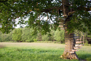 You Can Strap This Spiral Staircase Onto Any Tree Without Tools