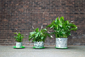Shape-Shifting ‘Origami’ Pots That Grow Together With Your Plants