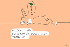 Everything You Always Wanted To Know About Rabbits