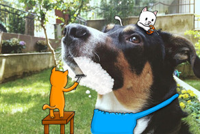 I Added Doodles To Strangers’ Photos