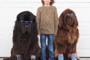 Mom Documents The Friendship Between A Boy And His Pets