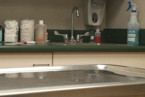 15 Cats Who Think They Are Hiding From The Vet