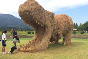 Giant Straw Dinosaurs Invade Japanese Fields After Rice Harvest