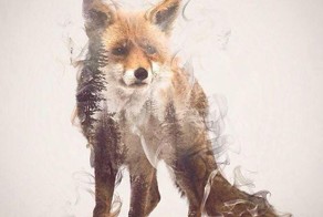 Wild Animals, Smoke And Nature Merged In My Double Exposure Photos