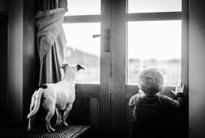 Touching photographs capture what unconditional love looks like
