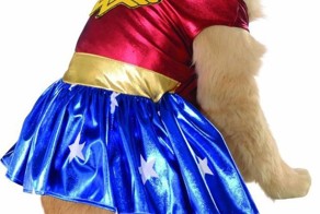 15 Costumes That Will Make You Want To Dress Up Your Dog