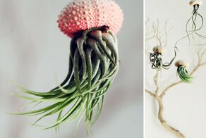 23  Of The Most Creative Planter Designs Ever