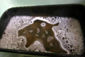 21 Things That Are Determined To Be Something Else, No Matter What