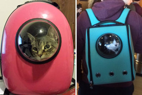 Clever Cat-Pack Lets Your Pet Travel Like An Astronaut