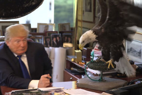 Donald Trump Gets Attacked By Bald Eagle Named Uncle Sam