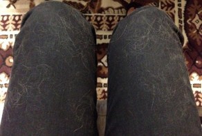 17 Pictures That Perfectly Capture What It’s Like To Have Pets