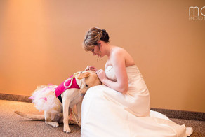 Service Dog Calms Bride Suffering From Anxiety During Her Wedding Day