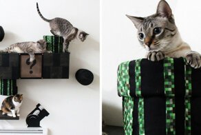 We Turned Our Room Into A Mario Cat World