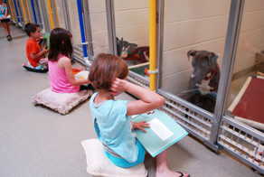 Children Practice Their Reading Skills To Calm Shy Shelter Dogs