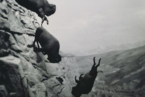21 Creepy Black and White Photos That Will Give You Nightmares