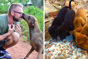 This Man Feeds 80 Stray Dogs Every Day Because He Can’t Bear to See Them Starve