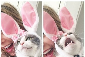 17 Animals Who Are 100% Done With This Shit