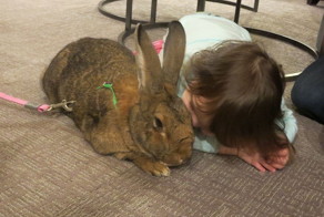 After The Death Of My Mother, I Discovered The Power Of Rabbit Therapy