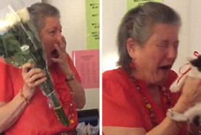 Teacher Lost Her 16 y/o Cat, So Her Students Surprised Her With 2 Rescue Kittens