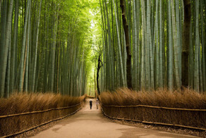 30 Reasons Why You Should Visit Japan