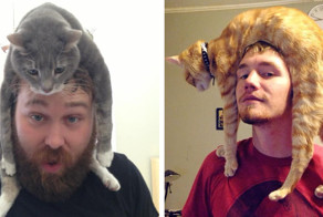19 Pictures That’ll Make You Want To Go Home And Put Your Cat On Your Head