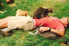 People Come From All Over The World To Cuddle 500 Kitties At This Cat Sanctuary In Hawaii