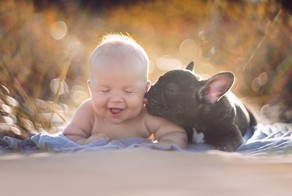 Baby & Bulldog Born On Same Day Think They’re Brothers And Do Everything Together