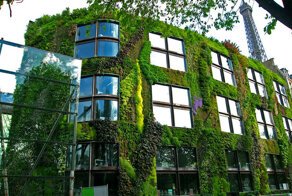 Paris’ New Law Allows Anyone To Plant Urban Gardens