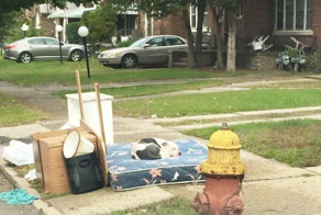Dog Waits One Month For His Family To Return, After They Left Him Behind While Moving Out