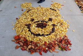 Japanese Are Going Crazy About The Fallen Leaves, Turns Them Into Art