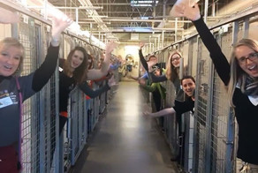 Animal Shelter Celebrates Their Happiest Day Ever Because All Kennels Are Empty