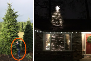 They Bought A 20ft Christmas Tree, And Found A Brilliant Way How To Fit It Inside