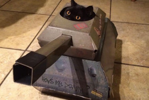 This Company Makes Cardboard Tanks, Planes And Houses For Cats, And Your Master Needs Them Right Meo