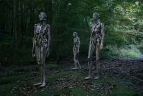Haunting Driftwood Sculptures By Japanese Artist Nagato Iwasaki