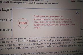 Петербурженка не смогла оставить жалобу на сайте Госдумы из-за «нецензурного» названия проспекта
