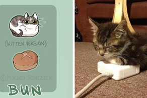 Artist Proves Cats Are More Bread Than You’d Think