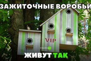 25 позитивных картинок, которые скрасят ваш день