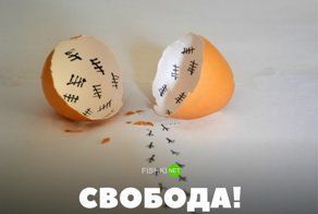 30 позитивных картинок, которые скрасят ваш день