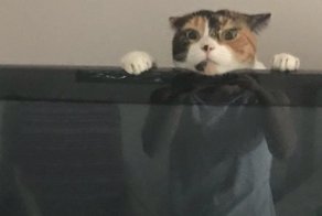 Неожиданные отражения, которых не должно было быть