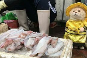 Meet The Cutest Fish Vendor In Vietnam Who Is Taking The Internet By Storm With His Adorable Pics