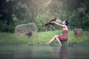 Странные и причудливые стоковые фотографии
